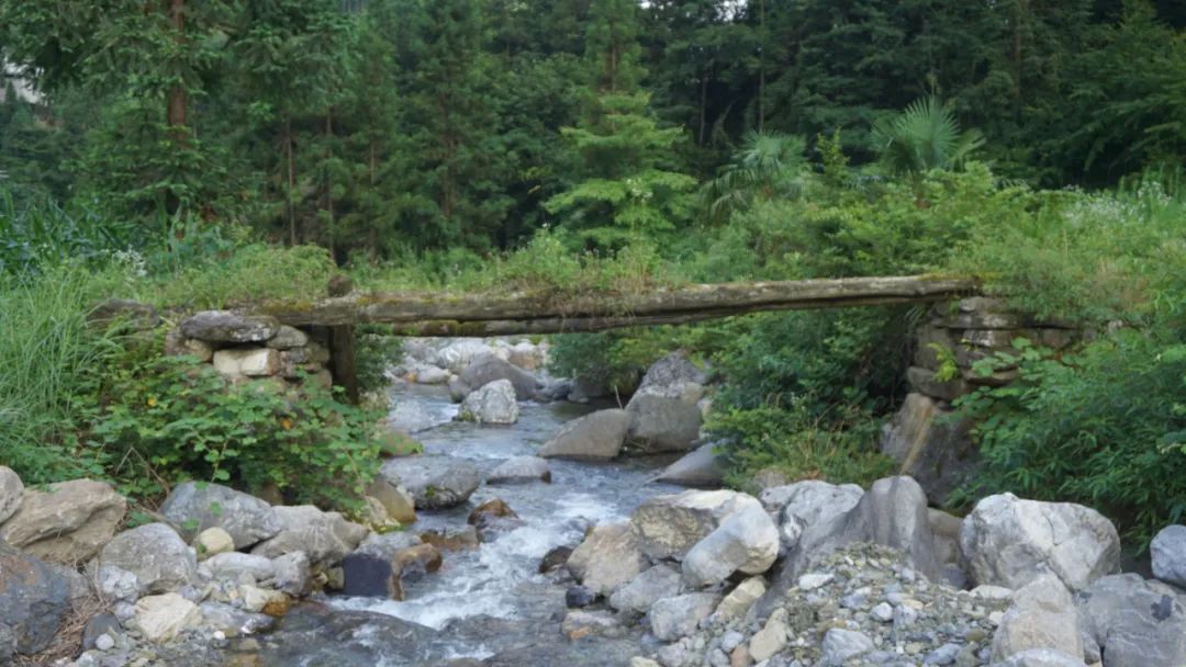 GGBET(集团)有限公司官网